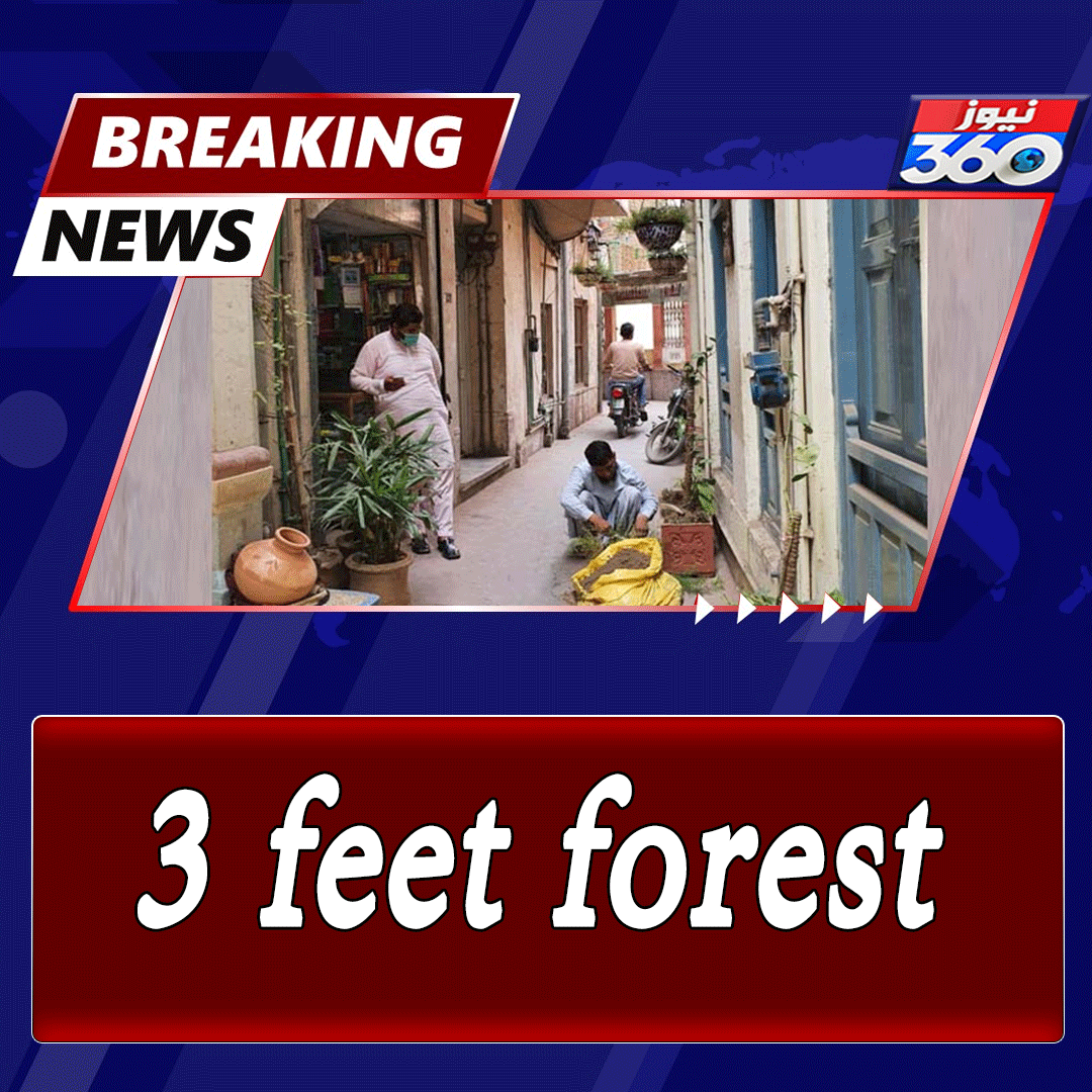 officialnews360's tweet photo. 3 feet forest

Read More:https://t.co/EtxjGGLvqj

#News360 #3Feet #Forest #Homeland https://t.co/9t39PjrSUX