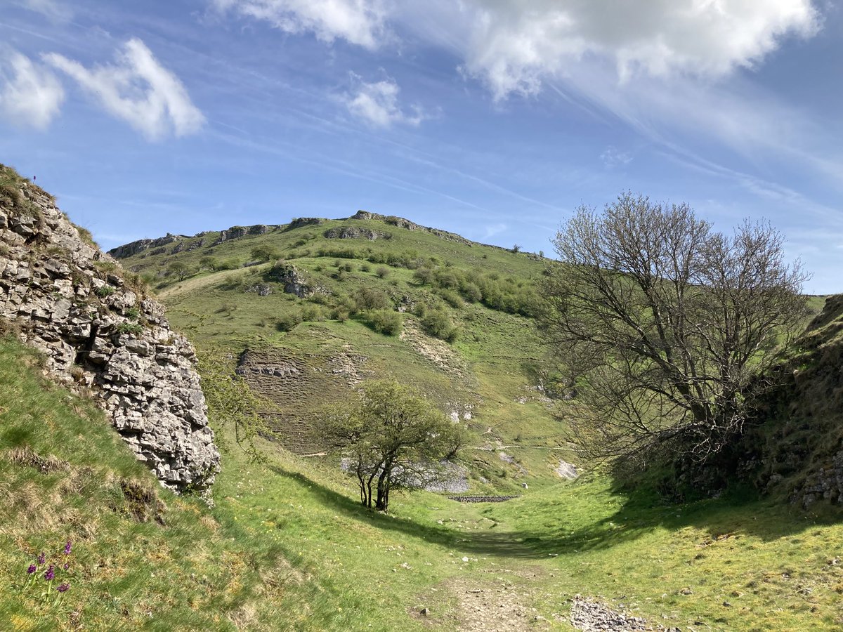 doristhehat's tweet photo. From Tansley Dale to Cressbrook Dale yesterday. Carpets of Cowslips. Such a joy to see in this beautiful place πΌπ https://t.co/5M4e6E0OUw