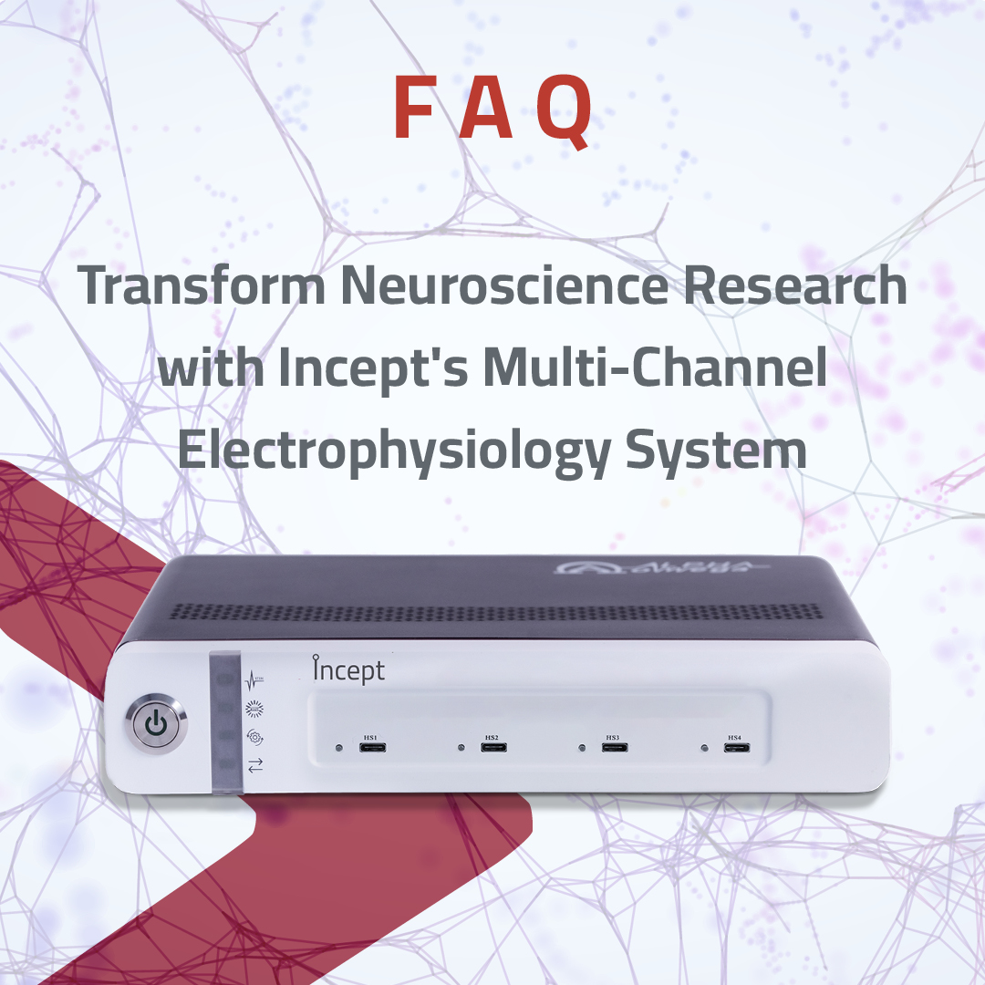 Incept is a portable #Ephys neural data acquisition for those starting a new Ephys setup & those who need neural recordings only. It can be used in a laboratory, clinic, or healthcare setting. Learn more: bit.ly/3v8KUgx 
#neuralstimulation #DAQ #Neuroscienceresearch