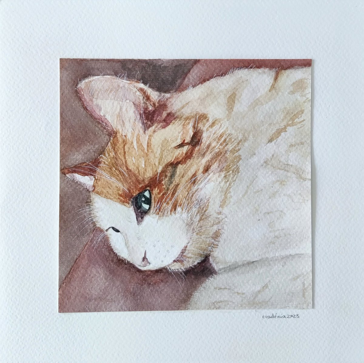 Pingo, o gatinho de Rosa Passos Aquarel·la, 14,5x14,5