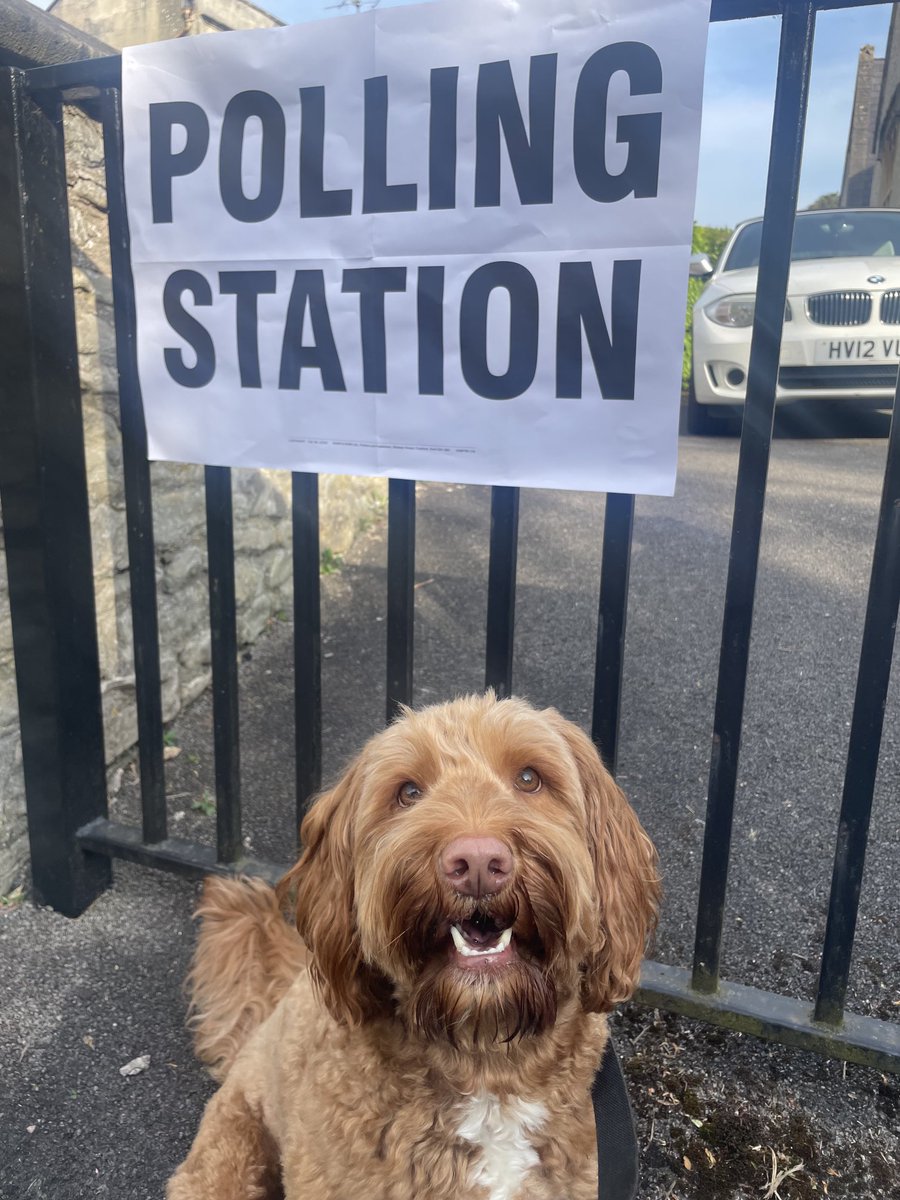 nataitken's tweet photo. Trevor is doing his bit to ensure that the Tories voter suppression does not work. #dogsatpollingstations #vote https://t.co/7gRMk3rfk8
