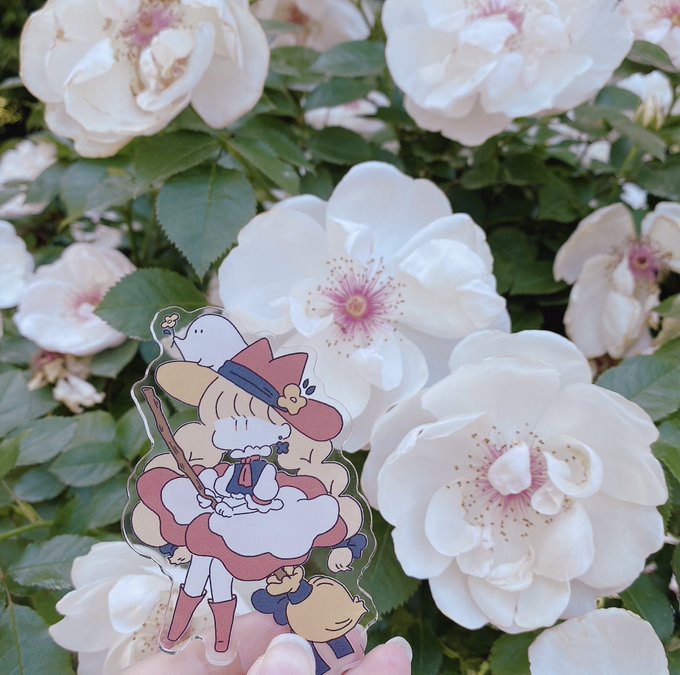 ❁❀✿✾