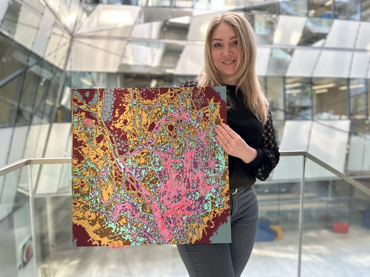 Interdisciplinary Institute for Neuroscience 🧠 tweet media