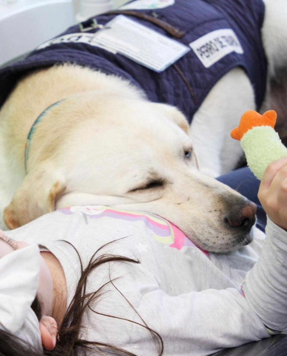 GOSSIP ROOM tweet media