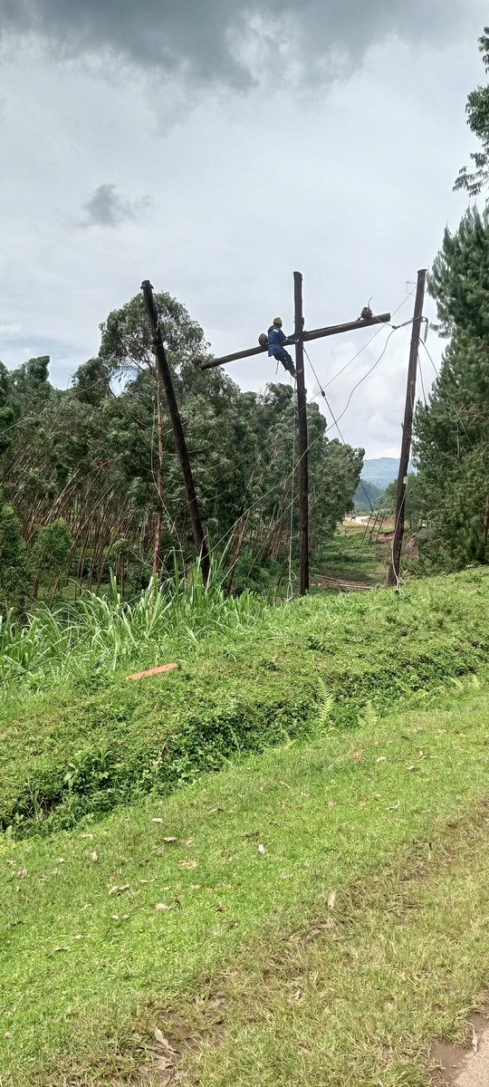 Kasyaba Stephen Ampeire tweet media
