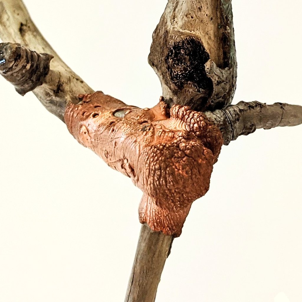 Tuva Widén (@tuvawiden) on Twitter photo 