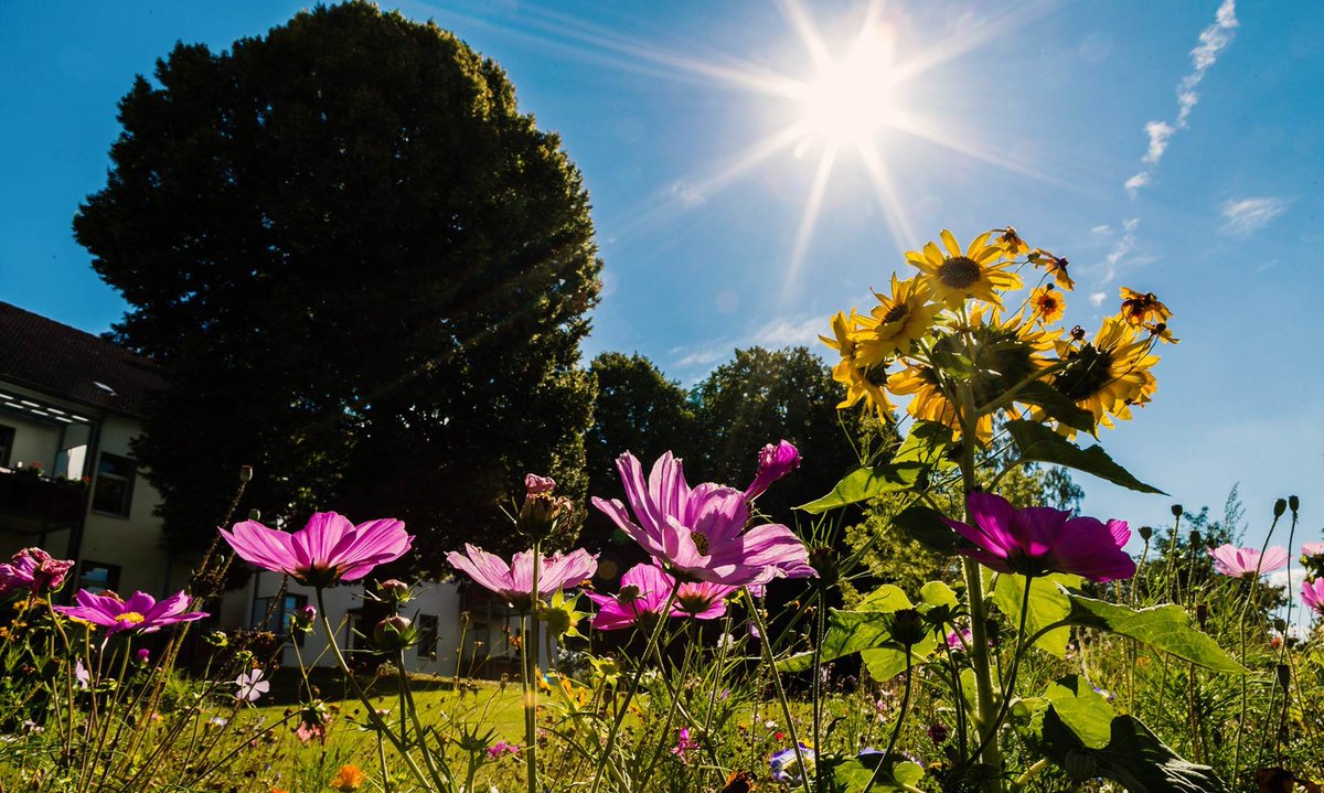 Wir tun, was wir können, damit wir bezahlbaren Wohnraum nachhaltig machen. Einen Überblick darüber kannst Du Dir hier verschaffen: naheimst.de/ueber-uns/nach…
#Nachhaltigkeit #Wohnen