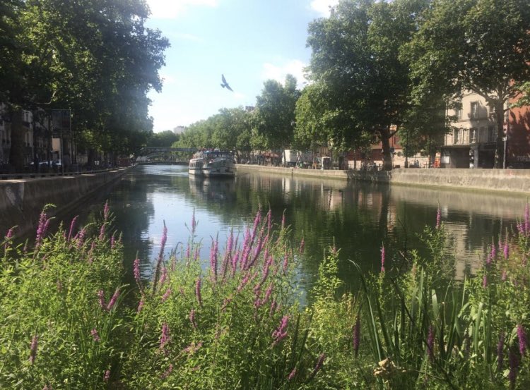 algrain_paris10's tweet photo. #paris et la @Mairie10Paris poursuivent leurs actions déterminées en faveur du #climat avec l’installation de 2 nouveaux radeaux végétalisés sur le #canalsaintmartin qui contribuent à démultiplier la biodiversité. Merci à @KatarinaDear et son asso @NatureandUs_Fr pour son action https://t.co/cA3ioiFFWx