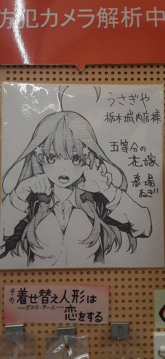 ec8yz's tweet photo. 本買いに行ったらまさかのありました～❗
可愛い❤️
#五等分の花嫁 #五月 https://t.co/XMV8gsVIfu