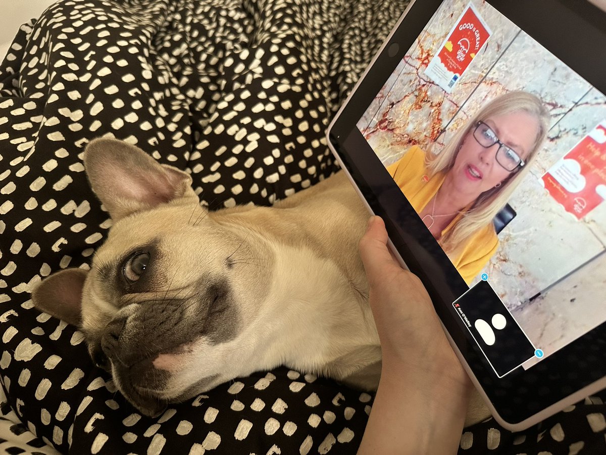 Grief Kid (@griefkid) on Twitter photo Grief Kid and Dog tuning in to the <a href="/goodgrieftrust/">The Good Grief Trust</a> webinar on best practice in the grief space! Finding out about so many great initiatives! #grief #griefawareness #dyingmatters Grief Kid and Dog tuning in to the <a href="/goodgrieftrust/">The Good Grief Trust</a> webinar on best practice in the grief space! Finding out about so many great initiatives! #grief #griefawareness #dyingmatters