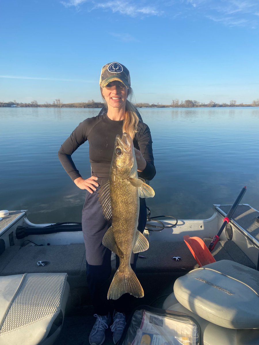 JohnstonNicolle's tweet photo. A perfect evening. โค๏ธ๐ฃ #sdfishing #walleyefishing https://t.co/ftszNOG7fH
