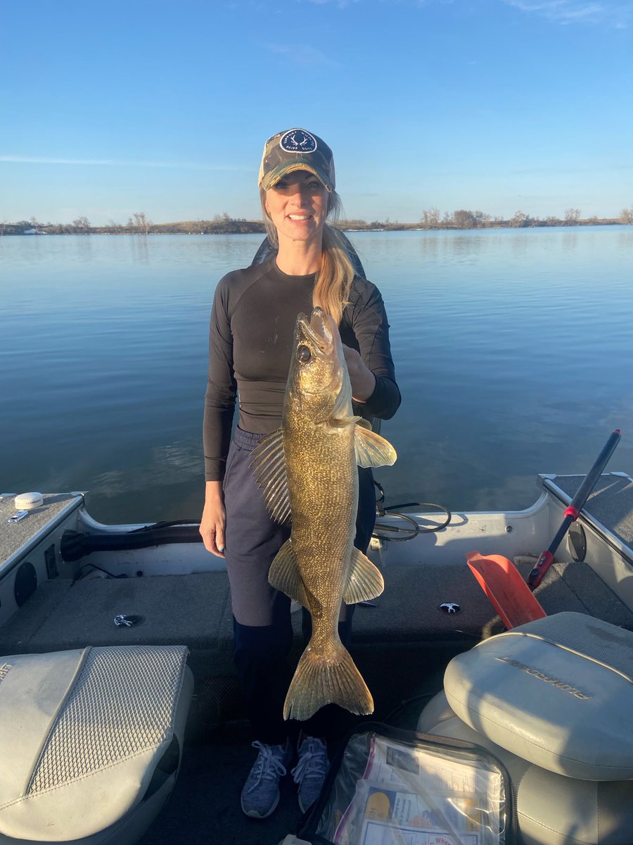 JohnstonNicolle's tweet photo. A perfect evening. โค๏ธ๐ฃ #sdfishing #walleyefishing https://t.co/ftszNOG7fH