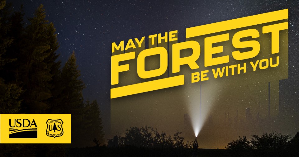 USFS Eastern Region (@usfs_r9) on Twitter photo May the Forest be with you. 🏕️#MayTheFourthBeWithYou
Visit your favorite today!
<a href="/Allegheny_NF/">Allegheny National Forest</a>
<a href="/CNNF002/">Chequamegon-Nicolet National Forest</a>
<a href="/ChippewaNF/">Chippewa National Forest</a>
<a href="/gmfl_nfs/">GMFL Nat'l Forests</a>
<a href="/HiawathaNF/">Hiawatha NF</a>
<a href="/HoosierNF/">Hoosier National Forest</a>
<a href="/HuronNf/">HuronManisteeNFs</a>
<a href="/marktwain_nf/">MarkTwain NF</a>
<a href="/MidewinNatTP/">Midewin NTP</a>
<a href="/OttawaNF/">Ottawa National Forest</a>
<a href="/ShawneeNF/">Shawnee NF</a>
<a href="/SuperiorNF/">SuperiorNF</a>
<a href="/WayneNationalFS/">Wayne National Forest</a>
<a href="/WhiteMountainNF/">WhiteMountainNF</a> May the Forest be with you. 🏕️#MayTheFourthBeWithYou
Visit your favorite today!
<a href="/Allegheny_NF/">Allegheny National Forest</a>
<a href="/CNNF002/">Chequamegon-Nicolet National Forest</a>
<a href="/ChippewaNF/">Chippewa National Forest</a>
<a href="/gmfl_nfs/">GMFL Nat'l Forests</a>
<a href="/HiawathaNF/">Hiawatha NF</a>
<a href="/HoosierNF/">Hoosier National Forest</a>
<a href="/HuronNf/">HuronManisteeNFs</a>
<a href="/marktwain_nf/">MarkTwain NF</a>
<a href="/MidewinNatTP/">Midewin NTP</a>
<a href="/OttawaNF/">Ottawa National Forest</a>
<a href="/ShawneeNF/">Shawnee NF</a>
<a href="/SuperiorNF/">SuperiorNF</a>
<a href="/WayneNationalFS/">Wayne National Forest</a>
<a href="/WhiteMountainNF/">WhiteMountainNF</a>