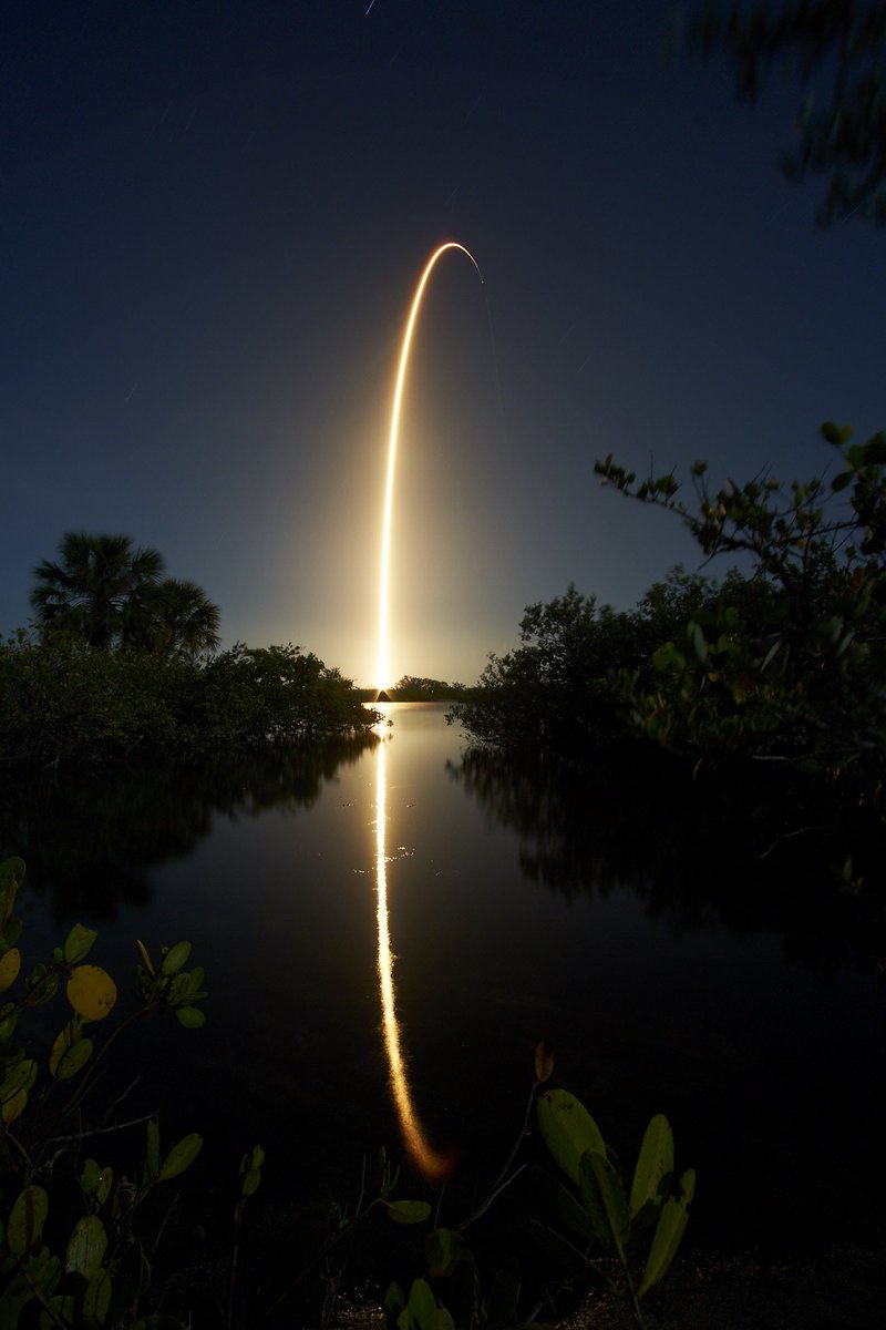 Jordan Sirokie tweet media