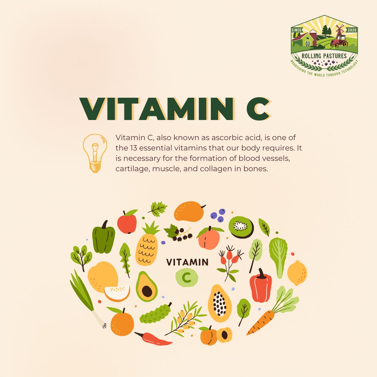 rolpasturesvn's tweet photo. Vitamin C is an essential vitamin for your health 🍊
Let's explore with us today about this vitamin and the warning signs when your body is lacking it !
#rollingpastures #health #healthy #singapore #nutrition #tips #vitamin #healthcare #healthylifestyle #fact https://t.co/sGY88xxV9q