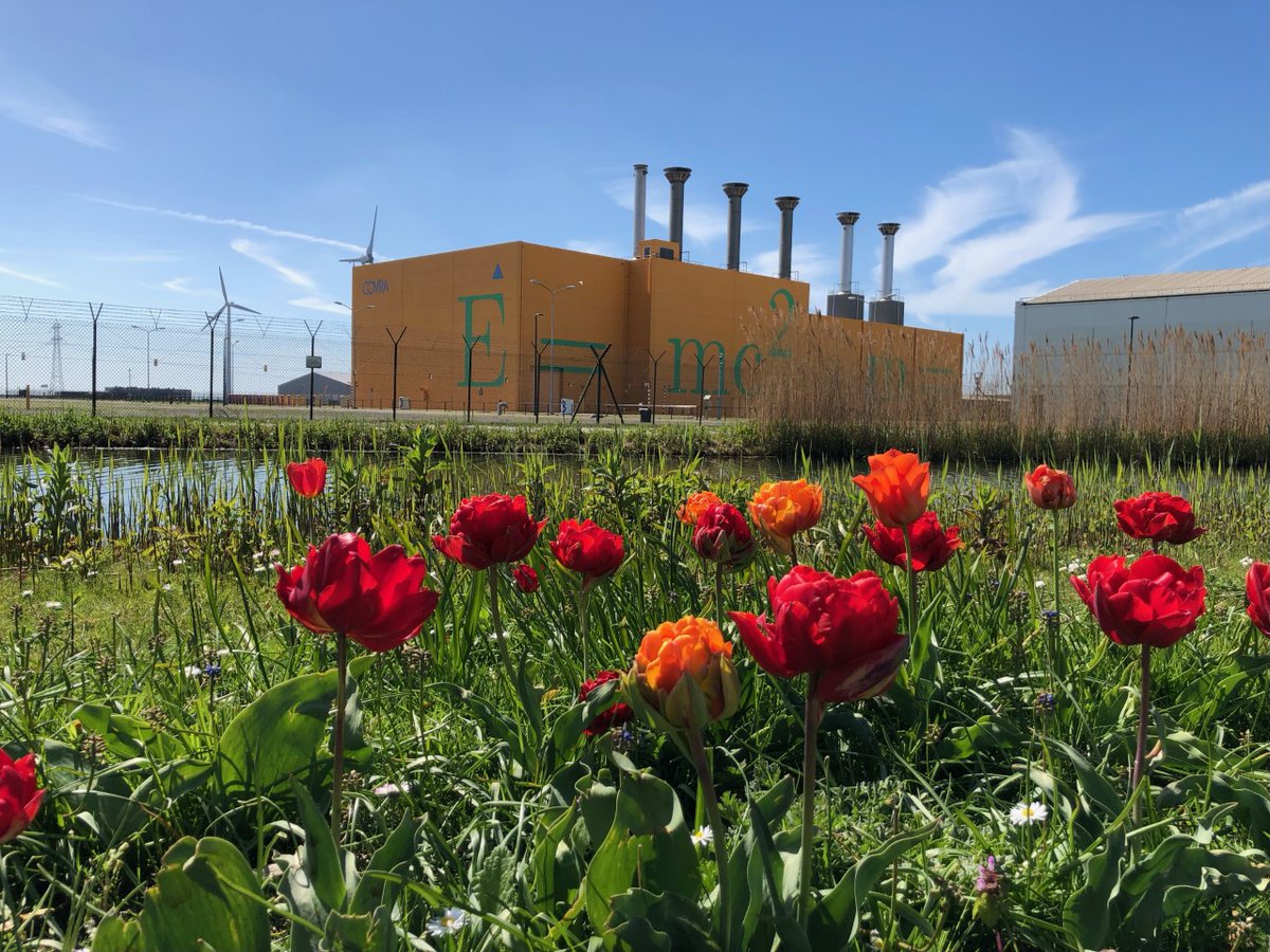 COVRA_nv's tweet photo. Vrolijk voorjaar! 🌷
#COVRA #HABOG #springisintheair #lente #tulp https://t.co/tegATNsvhx