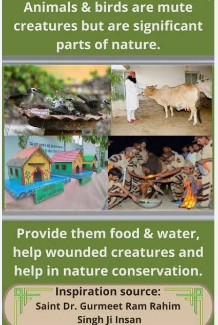 Earth is a common place for human and animals, but we're so cruel to these mute creatures, but with guidance of Saint Gurmeet Ram Rahim ji under 'animal welfare' Dera sacha sauda volunteers providing food,and medical care to  stray animals and binding reflector belt #EndCruelty
