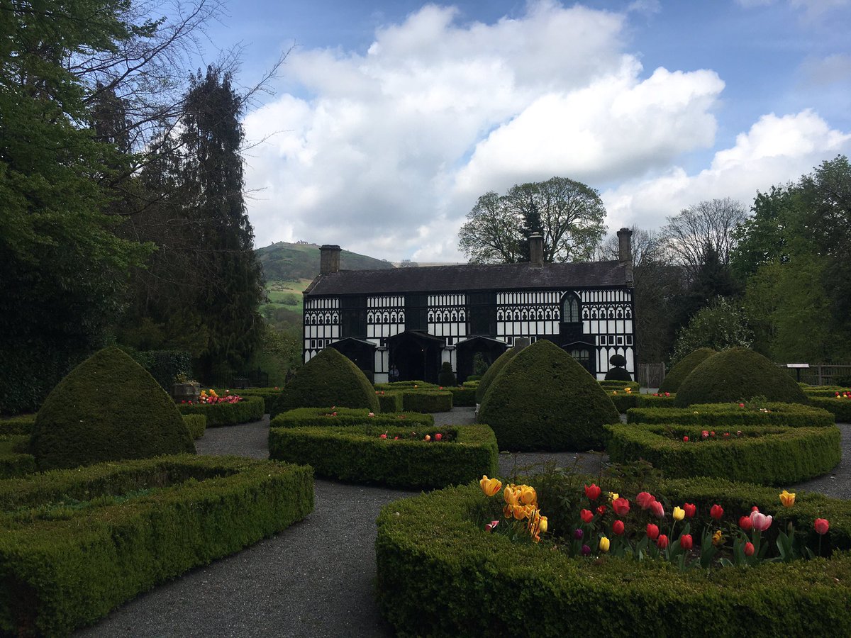 Frith Taylor tweet media