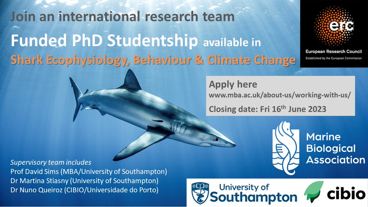 Sharks & Climate Change: PhD Studentship available on pelagic #shark ecophysiology in deoxygenating environments - using new bio-logging tags & respirometers w/@MartinaStiasny @nunoqueiroz29 @thembauk @OceanEarthUoS @MoveCIBIO mymba.mba.ac.uk/job-listing/ph…