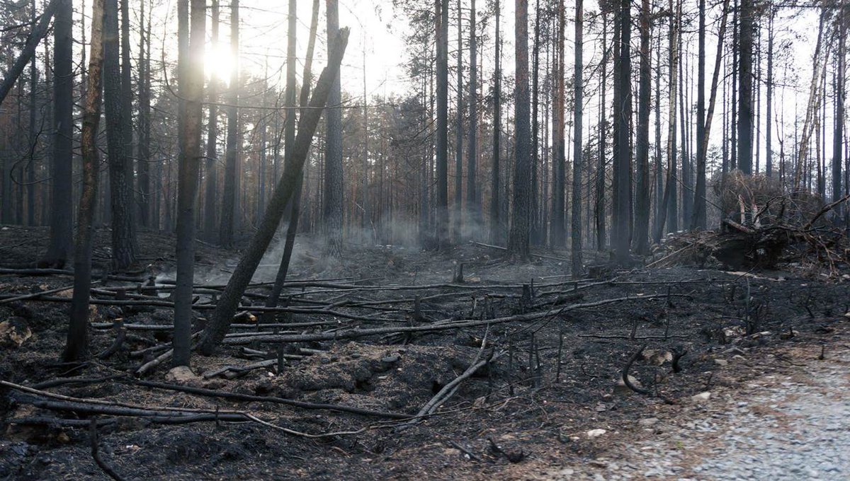 Vilken kunskap och vilken beredskap finns för att möta naturolyckor utifrån klimatförändringarna? Läs mer i CARER-rapporten Plattform för analys av förmågan att hantera händelser med avseende på ett förändrat klimat: liu.diva-portal.org/smash/record.j….