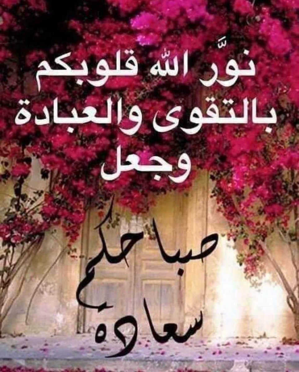 Essam Fouad tweet media