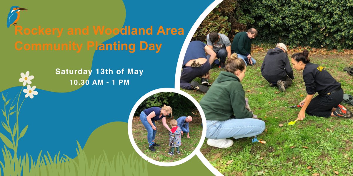 On Saturday May 13, 10.30-1.00 we need many hands to help plant hundreds of new plants (funded by NCIL) in the rockery and woodland area of Brookmill Park. Please join us. More details and registration at eventbrite.brookmillpark.com/FoBp-RWT