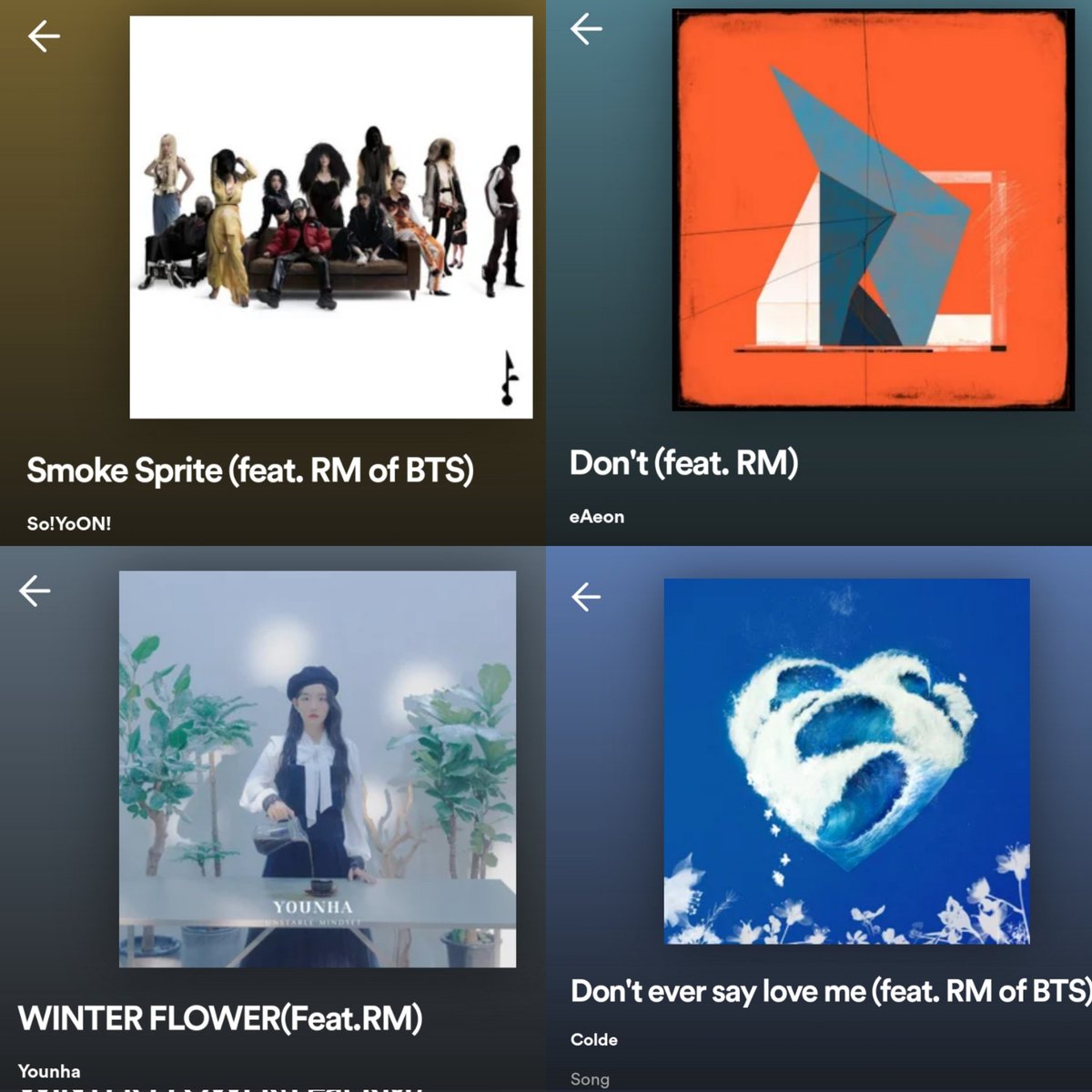 "feat. RM of BTS" just never disappoints