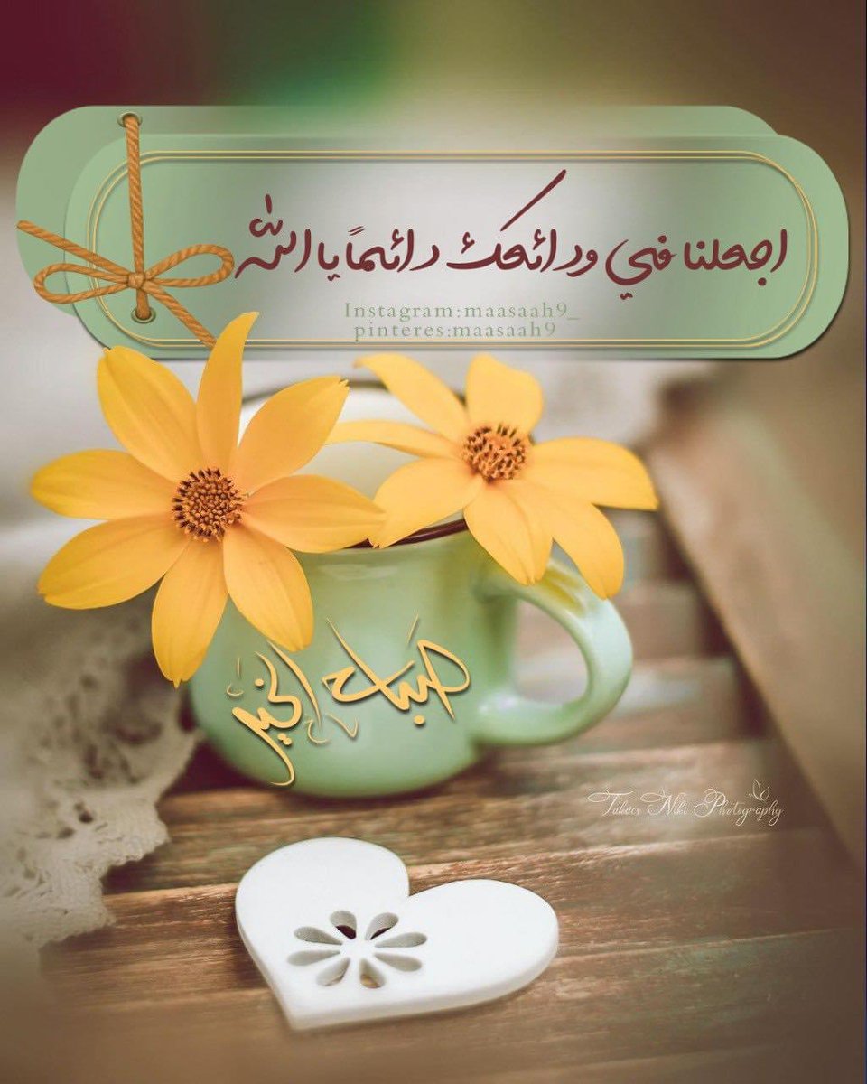 Essam Fouad tweet media