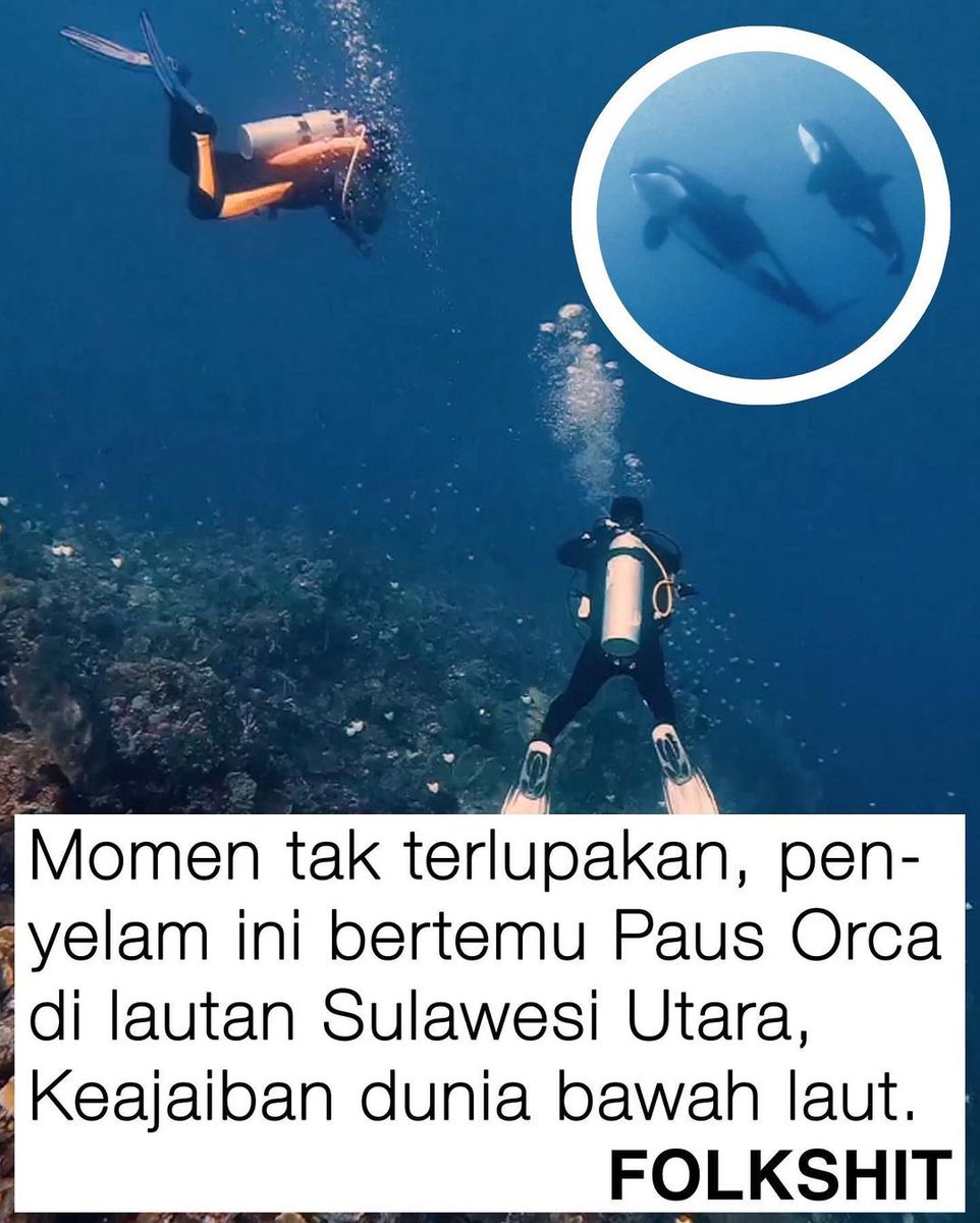 recehtapisayng's tweet photo. Keren sekali gaes https://t.co/CHkugdaAle
