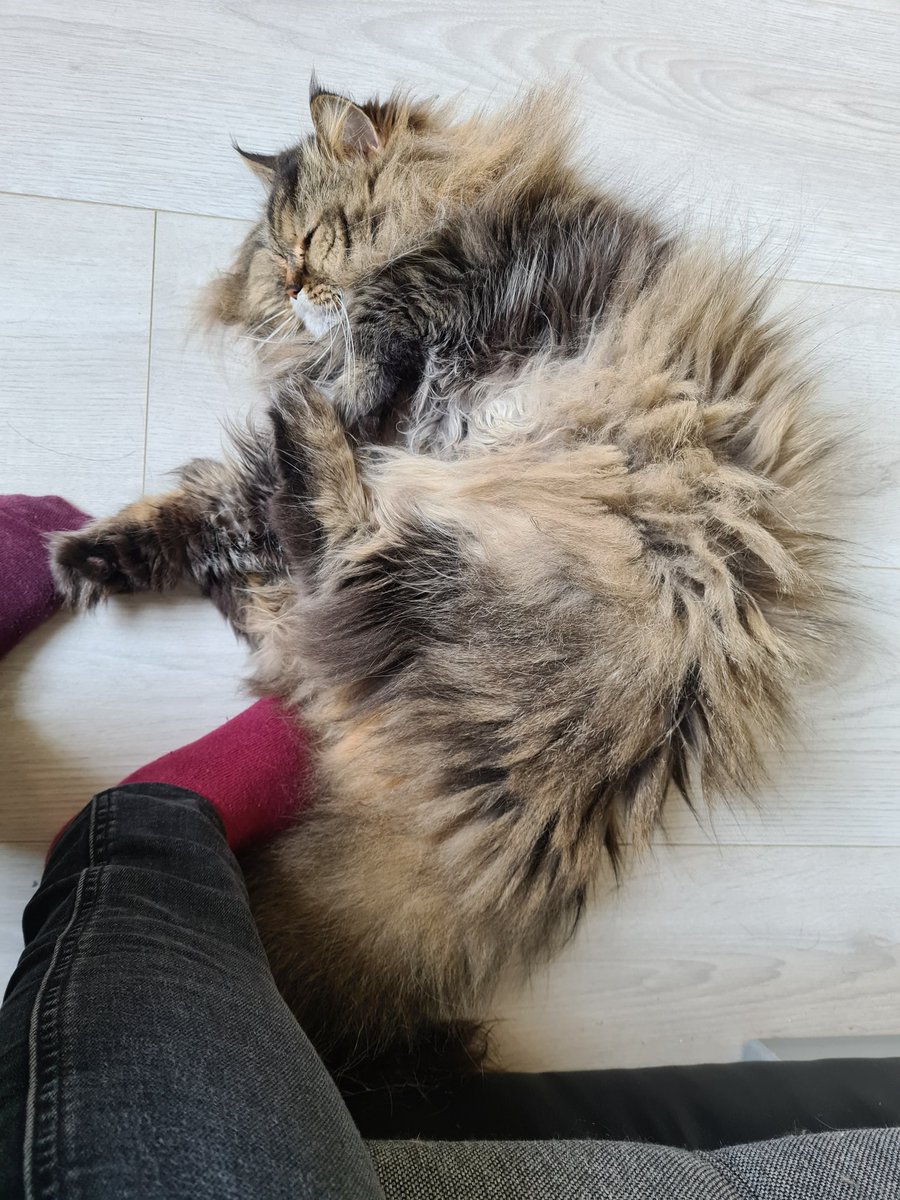 Ich hab ne Fussel am Fuß 🤣