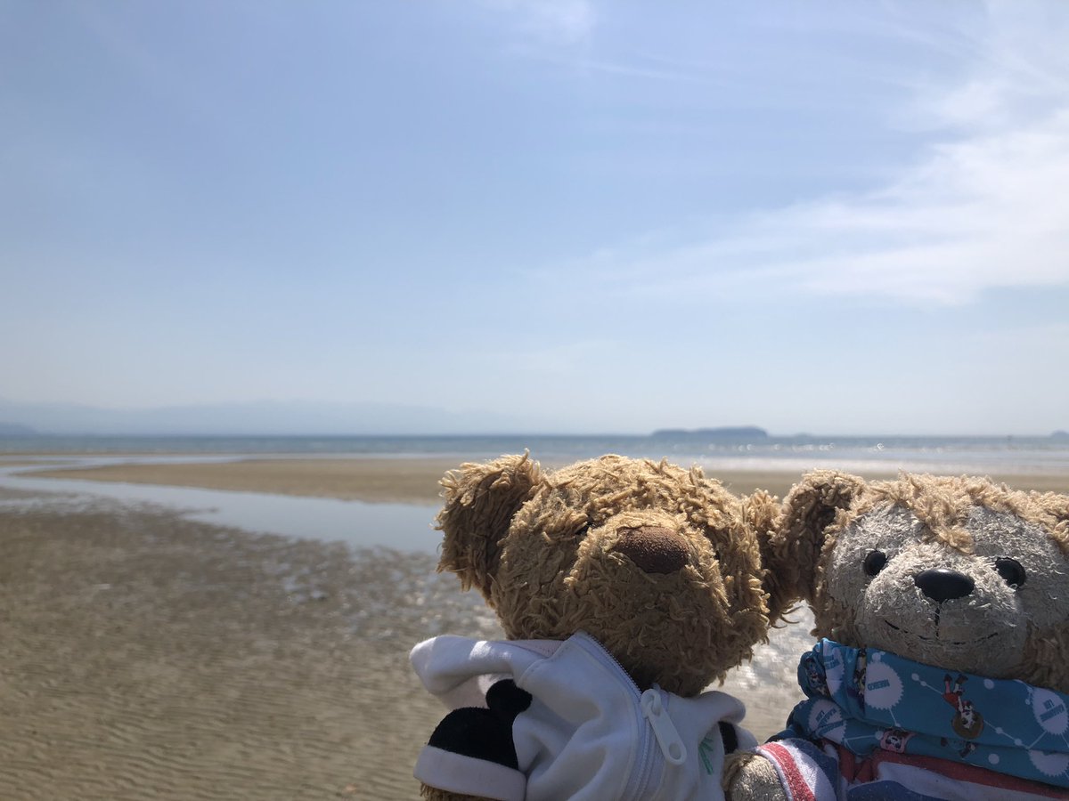 chocola1teddy's tweet photo. おとといね、かがわいってきたんよ！
おうみにおいけがいっぱいできてて、いろんなひとがおしゃしんパシャパシャしてたんよ✨
あとね、ポケモンのこーえんもいってきたんよ！ボクのおしゃしんとれなかったから、ご主人様からもらったよー(￣(工)￣)ひといっぱいおったんよー💦
たのしかったー！ https://t.co/h72ClY9ttN