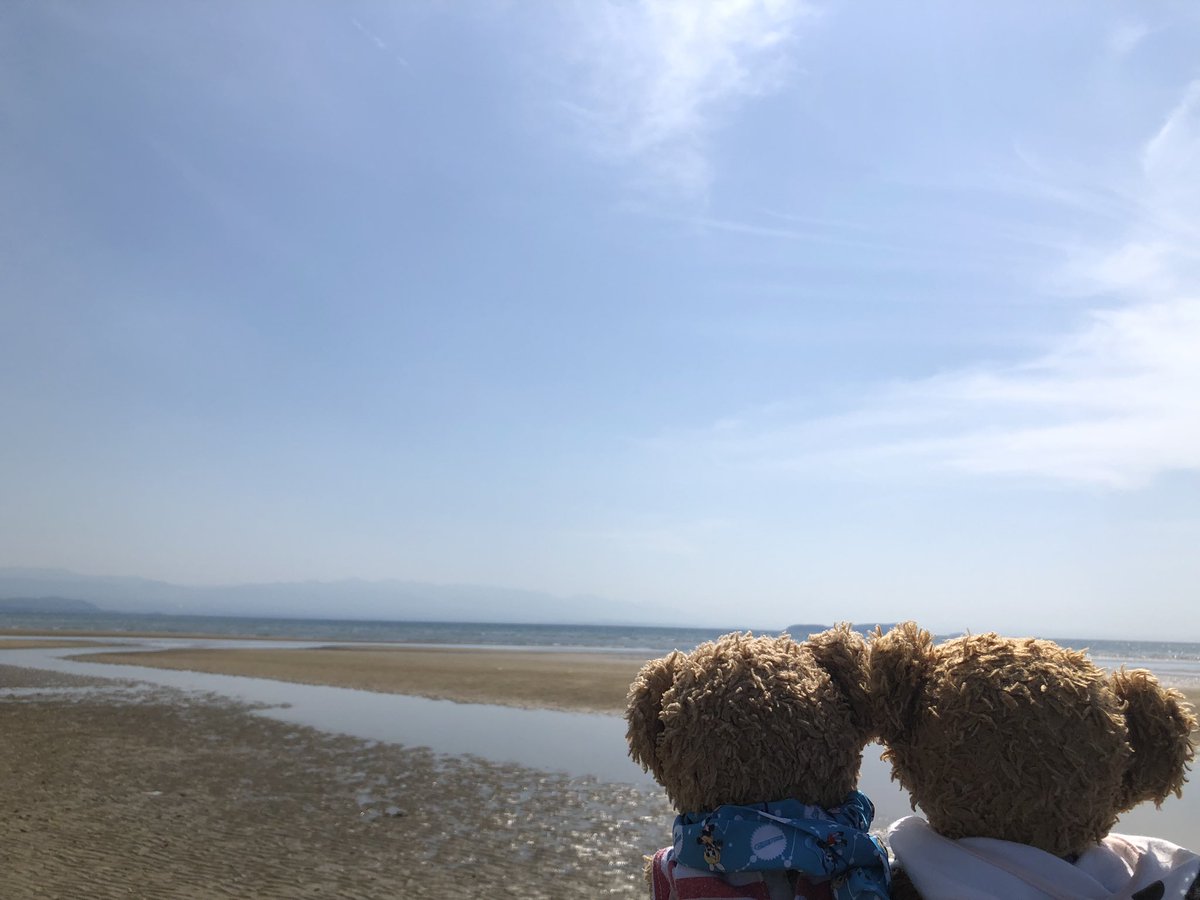 chocola1teddy's tweet photo. おとといね、かがわいってきたんよ！
おうみにおいけがいっぱいできてて、いろんなひとがおしゃしんパシャパシャしてたんよ✨
あとね、ポケモンのこーえんもいってきたんよ！ボクのおしゃしんとれなかったから、ご主人様からもらったよー(￣(工)￣)ひといっぱいおったんよー💦
たのしかったー！ https://t.co/h72ClY9ttN