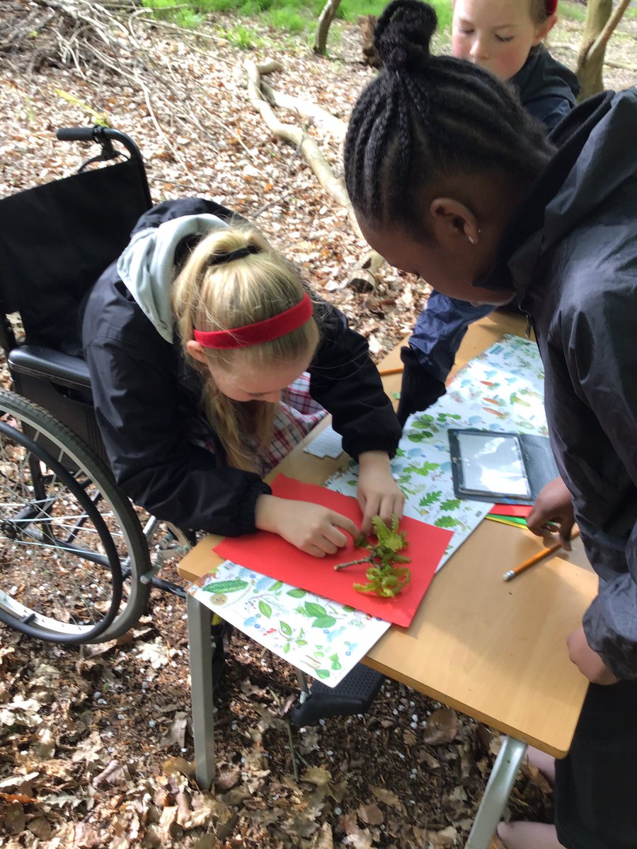 PipersForestSch's tweet photo. Year 5 @PipersPrep enjoyed researching the lifecycles of the different trees in our forest #pipersscience #forestfun #getoutdoors #pipersgrounds #chilterns π±πΏ https://t.co/sPFP64w2Zn