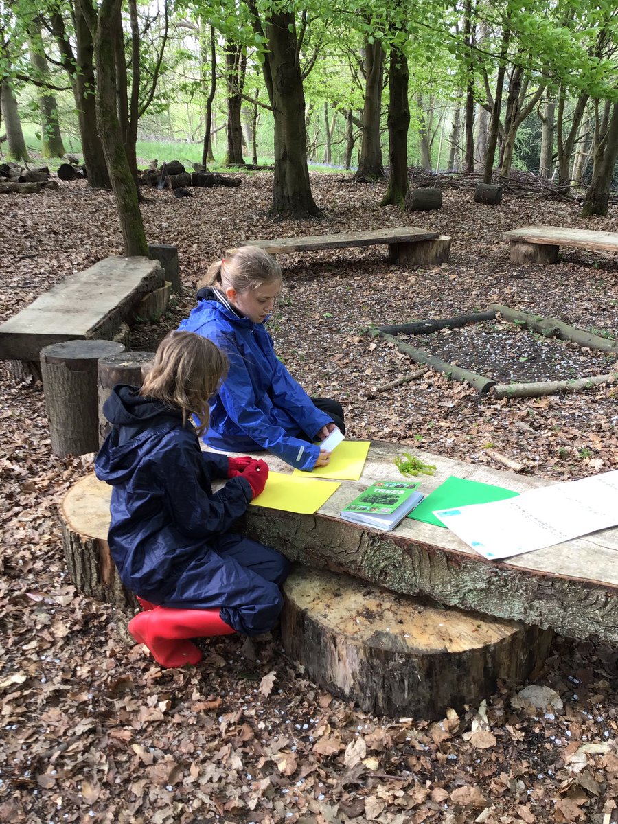 PipersForestSch's tweet photo. Year 5 @PipersPrep enjoyed researching the lifecycles of the different trees in our forest #pipersscience #forestfun #getoutdoors #pipersgrounds #chilterns π±πΏ https://t.co/sPFP64w2Zn