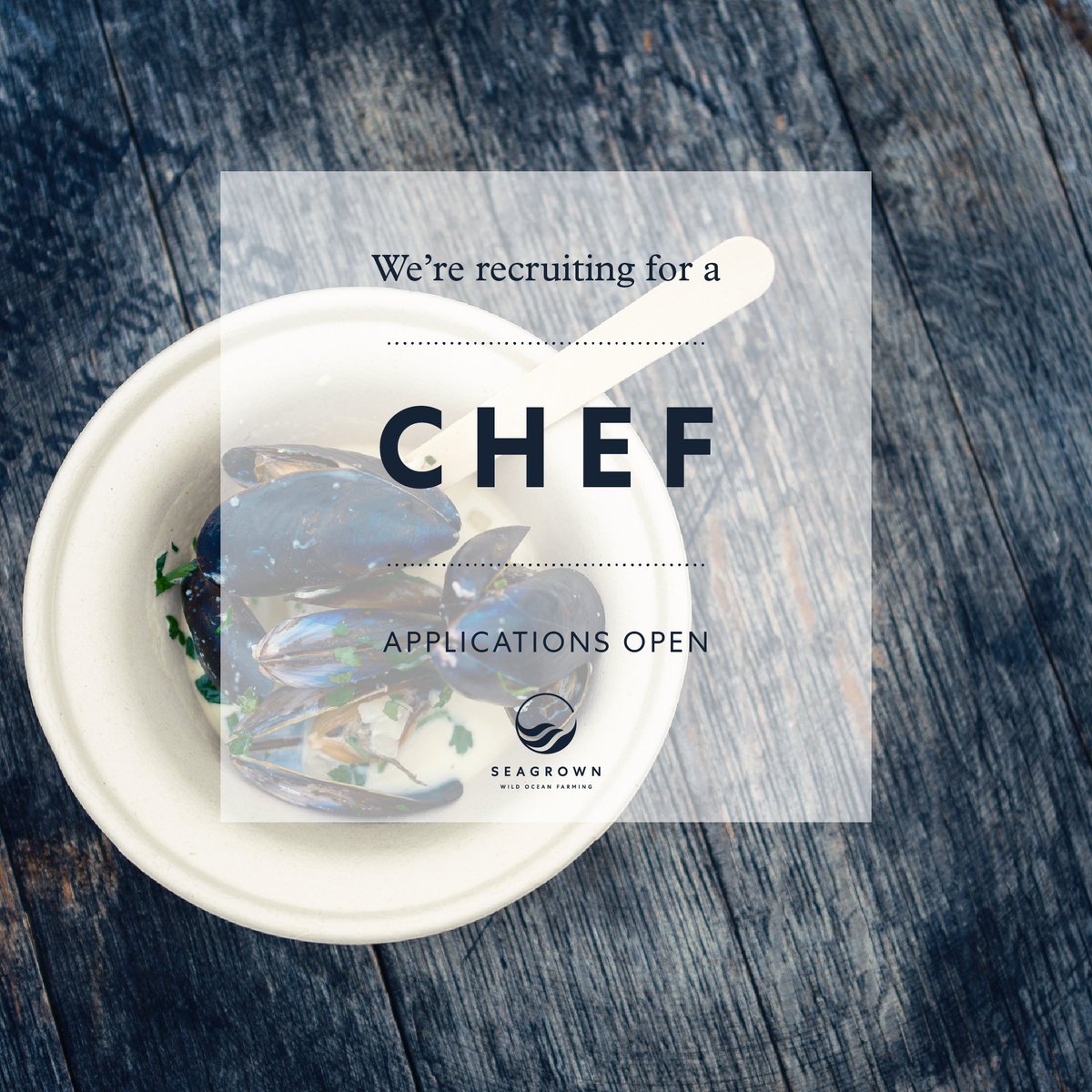 Aspiring seafood chef wanted! Full details at: adobe.ly/3JlCGsi Full training and qualifications are given! Apply by sending your CV and cover letter to southernstar@seagrown.co.uk #SeaGrownCentre #seafoodchef #jobopening