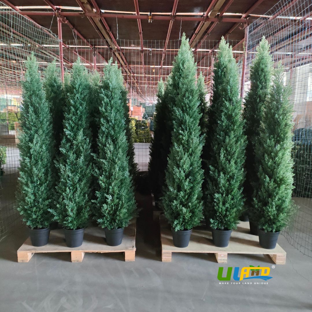 ulandofficial's tweet photo. 🚀 As May arrives, our factory is gearing up and ready to go. Batch after batch of artificial cedar trees and potted artificial Sansevieria plants have been completed.

#ulandgreen #artificialplants #cedartrees #snakeplants #factoryview #artificialtrees #ulandartificialplants https://t.co/myvfxov0br