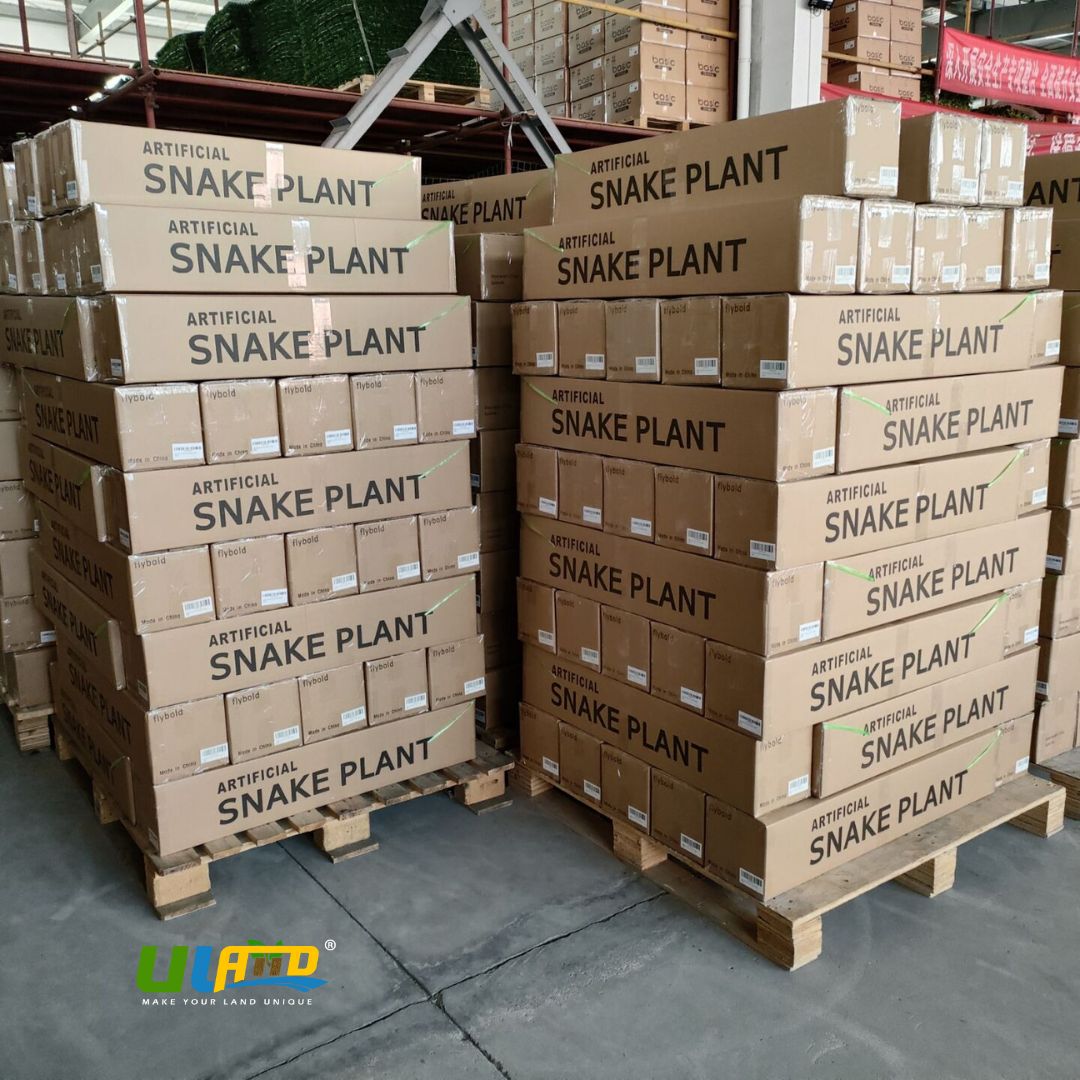ulandofficial's tweet photo. 🚀 As May arrives, our factory is gearing up and ready to go. Batch after batch of artificial cedar trees and potted artificial Sansevieria plants have been completed.

#ulandgreen #artificialplants #cedartrees #snakeplants #factoryview #artificialtrees #ulandartificialplants https://t.co/myvfxov0br