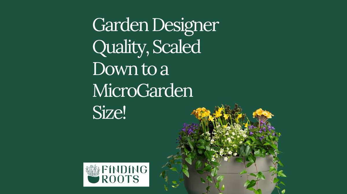 FindingRoots.co.uk tweet media