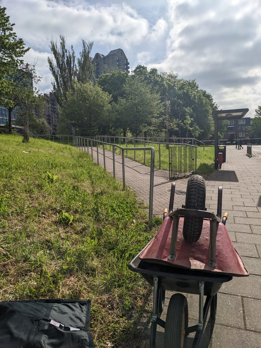 TCVHaringey's tweet photo. Helping out at Ferry Lane estate today! Raking up cut grass with volunteers. This helps the wildflower area grow by reducing the nutrition in the soil
- Izzy @ The Paddock

#tcv #tcvharingey #nature https://t.co/qzABrSeYOJ