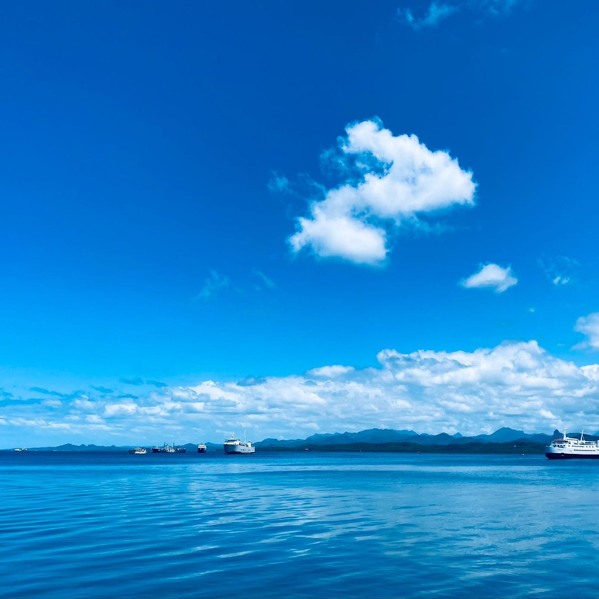awaisvet's tweet photo. Exploring south Pacific countries https://t.co/ZFrB71Rhuc