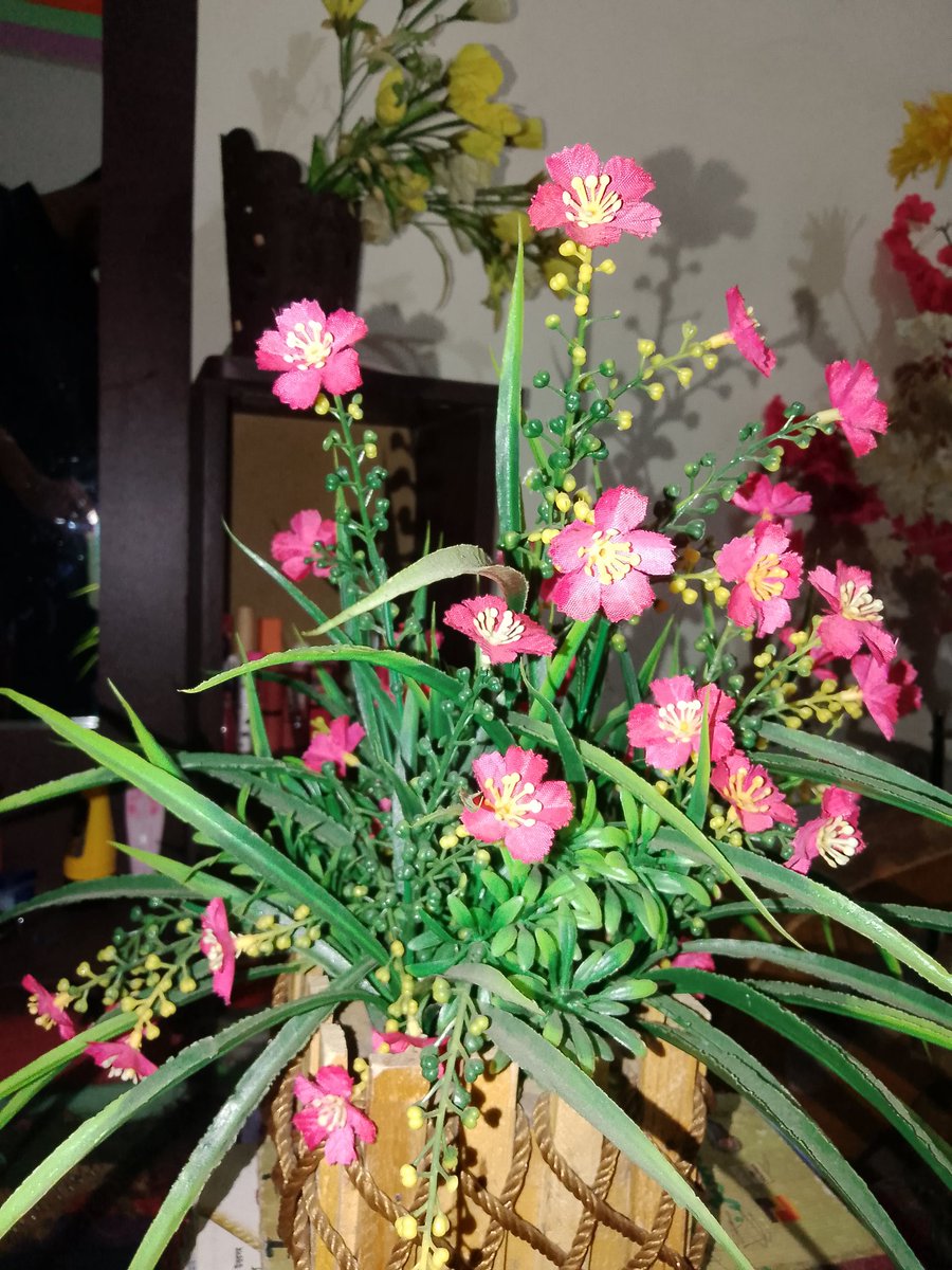 mdebrahim5c's tweet photo. ফুল পবিত্র https://t.co/02oXqHWvsq