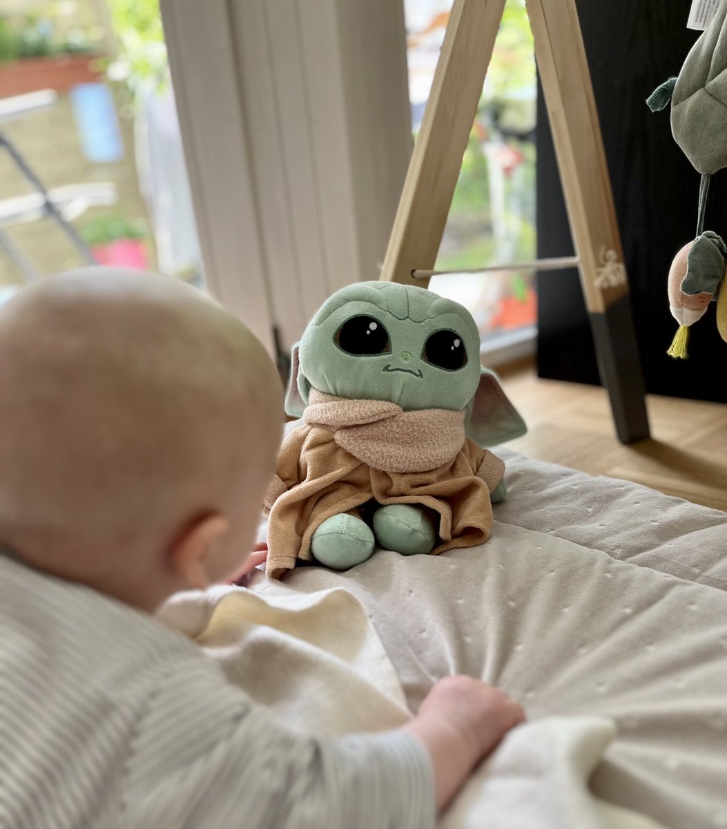 JanaAWolf's tweet photo. Baby‘s best friend
#DasKind #MayThe4thBeWithYou #starwarstag https://t.co/vWWZEzLAhP