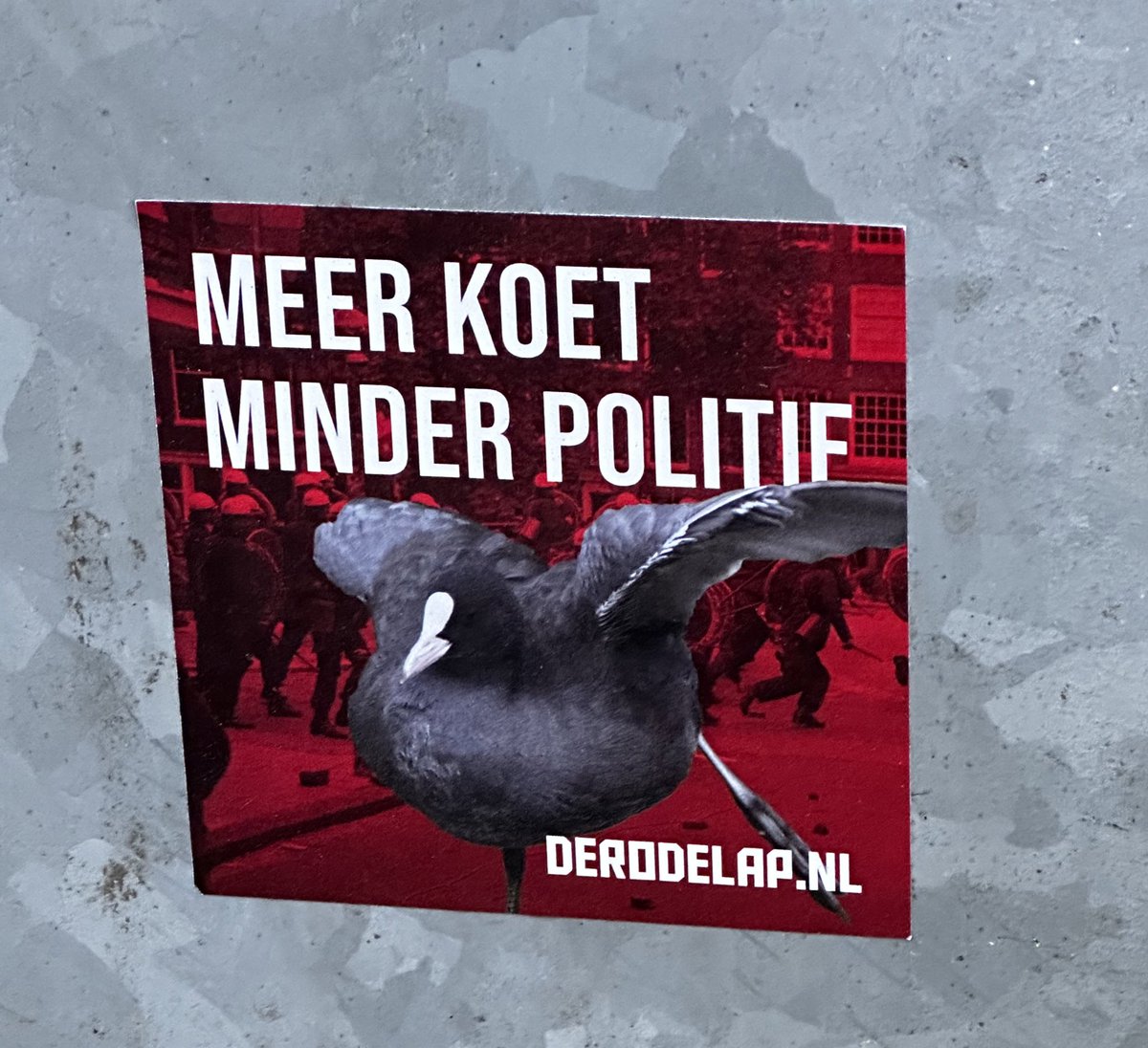 Spotted a #bird-themed #DefundThePolice sticker yesterday 😄

(It’s a pun. The bird is a Common Coot, or Meerkoet in Dutch. “Meer” means “lake” but also “more”. “Minder” means “fewer”.)