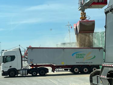 OpenfieldTM's tweet photo. We are pleased to announce we are managing the @trinitygrainltd transport haulage fleet!🚛

This is part of our ongoing drive to improve service and logistical efficiencies.

One of our HGV Drivers sent a photo loading at Avonmouth earlier this week🌾

#openfield #trinitygrain https://t.co/VITUUCOIfn