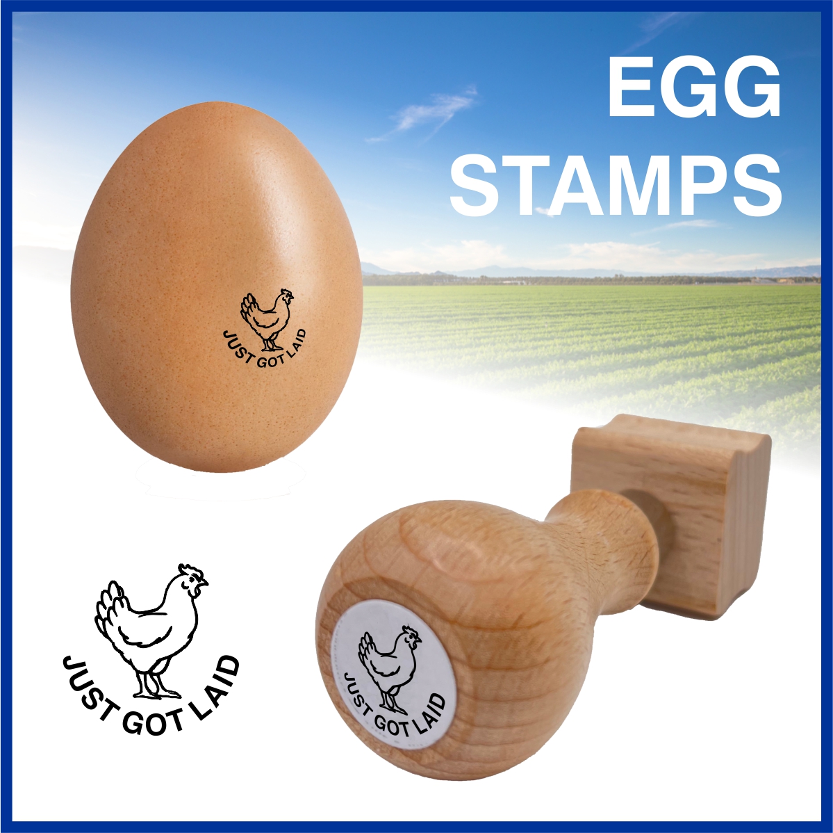 ukrubberstamper's tweet photo. As the Hens are now back free roaming it's time to update your egg stamp, we can help
https://t.co/EMRlrmHRYP...
#Eggstamp #handstamping #rubberstamp #rubberstamping #rubberstamps #rubberstampking #smallholder #eggs https://t.co/jiibto3wPg