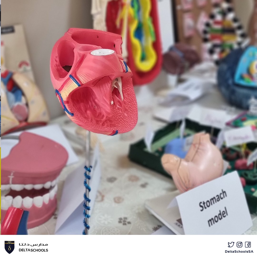DeltaSchoolsSA's tweet image. Delta schools students shine at Science Fair showcasing their impressive projects. 🌟 A true testament to their creativity, determination, and passion for learning. 🔬🎨📚 #DeltaSchools #Sciencefair #StudentProjects #Education #Innovation
