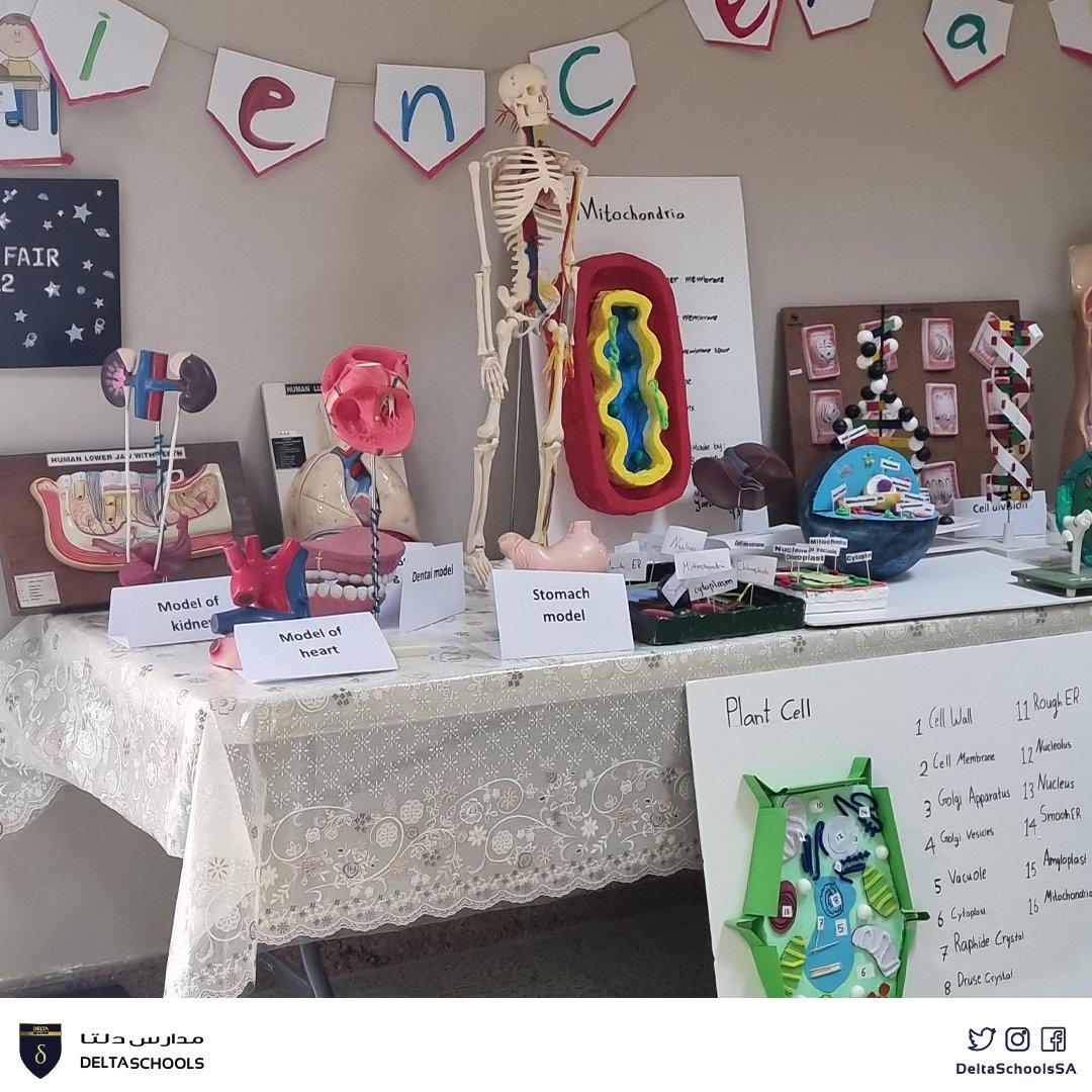 DeltaSchoolsSA's tweet image. Delta schools students shine at Science Fair showcasing their impressive projects. 🌟 A true testament to their creativity, determination, and passion for learning. 🔬🎨📚 #DeltaSchools #Sciencefair #StudentProjects #Education #Innovation