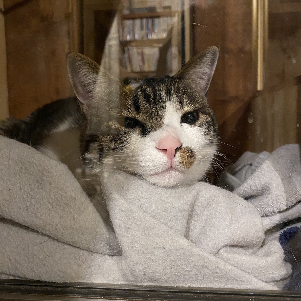 眠いけど寝たくなくてムニャムニャ。分かるぞ！その気持ち！ https://t.co/Dy3KAJ5psh