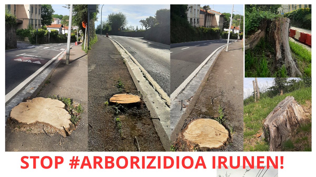 artiakolagunak's tweet photo. ⚠️#Irun|go #Blaia pasealekuko #Zuhaitzak urteetan #Zementua|rekin ito ondoren, @Irun_informa|k geratzen ziren3⃣ #Lizarrak moztu ditu.
Berriz ere, #Auto|entzako errei bat kendu beharrean, #Artiako #Zuhaiztia moztu🪓 dute #Berrurbanizazio lanengatik.
#IrunDa #EsIrun, #JASanGaitza‼️ https://t.co/q5lby3BtyA