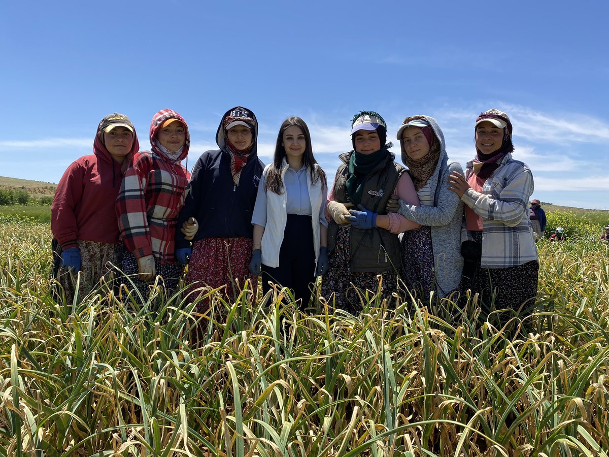 Çiftçilerimizin ürünü bol, hasadı ve kazancı bereketli olsun 🤲

Kaymakamımız Sayın Büşra Uçar, sofralara lezzet, doğal antibiyotik kaynağı olan sarımsak hasadına katıldı.Çiftçilerimizden bilgi alan Kaymakam Uçar, emek veren tüm çiftçilerimize bol kazançlar dileklerinde bulundu.